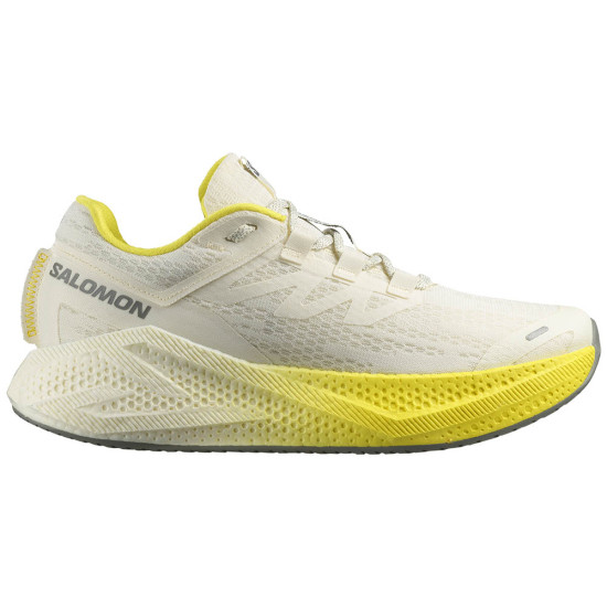 Salomon Aero Glide 3